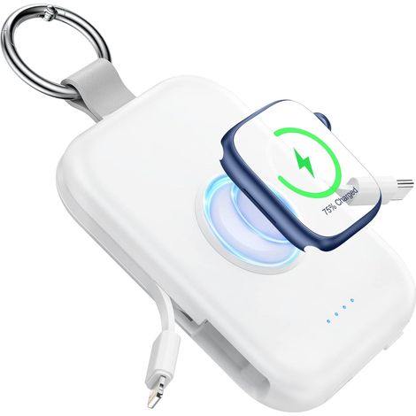 Batterie Externe 5000mAh Power Bank avec 2 Câbles Intégrés (1/5)