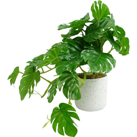 30cm Artificial Green Potted Monstera Trailing Plant (1/4)