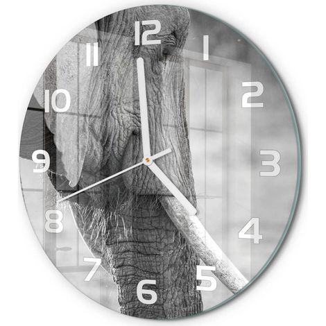 Horloge Murale Ronde Moderne Verre Trempé Quartz Silencieux Sans Tic-Tac Éléphant fi 30 cm (1/5)