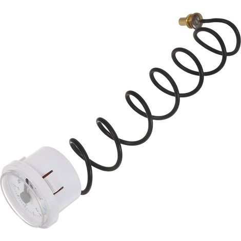 Manomètre de Pression D'eau Résistant à Chaleur Précis pour Chaudière Murale en Métal et Plastique eur 6mm et Chauffage au Sol pour Système de Chauffage Domestique (1/5)