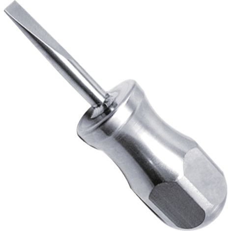 DESTORNILL. B/PLANA CORTO 5x38MM INOX