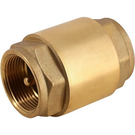 Clapet anti-retour - Clapet anti retour laiton/inox - F 3'' de Sferaco