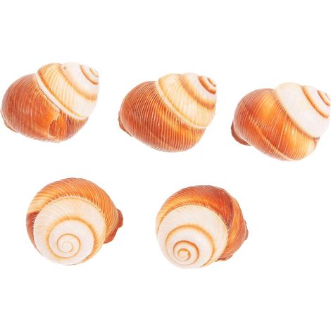 de 5 Coquilles d Escargots Naturelles en Bois Massif 4 5 CM (1/5)