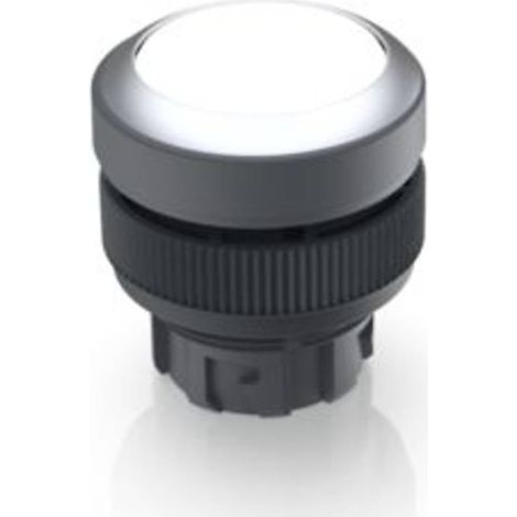 RAFI 1.30.240.021/1000 RAFIX 22 QR Bouton-poussoir lumineux à rappel à rappel (L x l x H) 29.8 x 29.