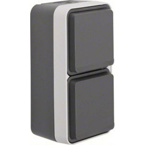 Prise électrique double Berker 47703525 W.1 apparent gris, gris clair (1/2)