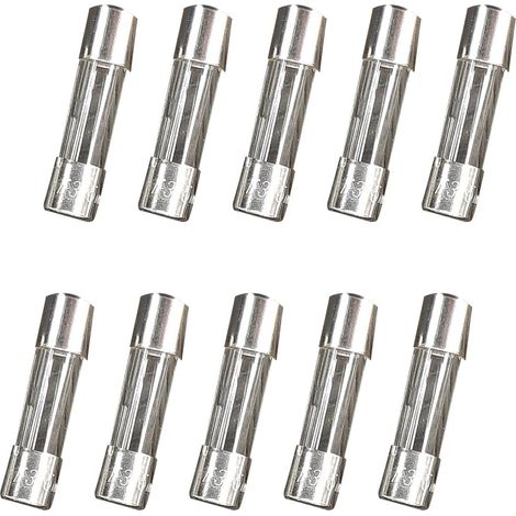 Lot de 10 fusibles 315mA 5x20 – Pour motorisations CAME – 119RIR162