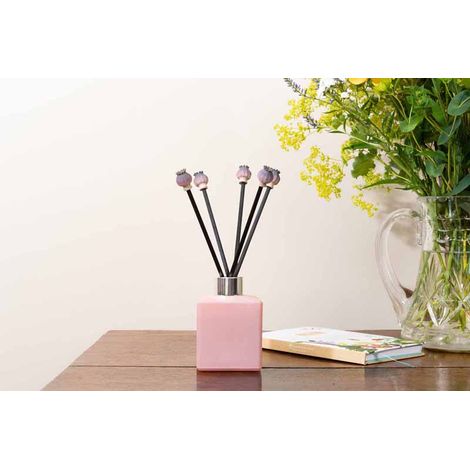 Diffuser Decor - Poppy Seed Heads Range - L10 x W10 x H2 cm