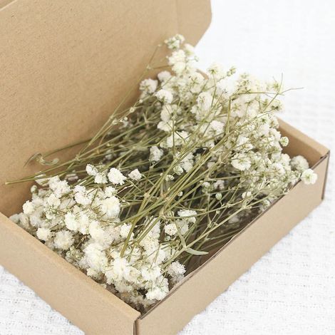 Gypsophila séchée blanche naturelle 50 tiges, fleurs de bébé's breath, pour bouquets, mariage et décoration minimaliste, polyvalente et intemporelle