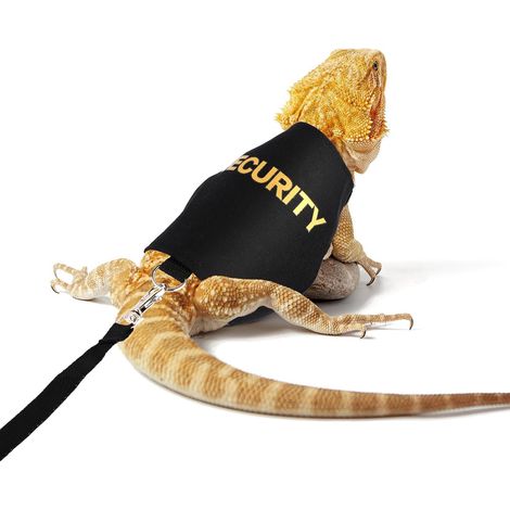 Ensemble de Laisse et Harnais de Dragon Barbu, Réglable Lézard Laisses de Reptiles Corde de Dragon Barbu Accessoires pour Amphibiens Caméléons Petits Animaux de Compagnie Extérieur Marche (1/5)