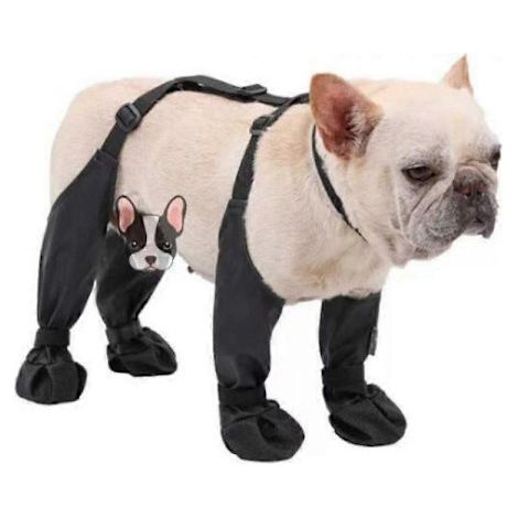 Chaussures pour chien antidérapantes pour l'extérieur, adaptées à la neige et à la pluie, bottines à bretelles pour chien, idéales pour les promenades en plein air, chaussures pour chien Ruffwear, cha (1/4)
