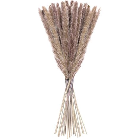 20 pcs Herbe de la Pampa, 60 cm Naturel Pampa Fleur Bouquet de Fleurs Sechees pour Vases, Boho Decoration Chambre Maison Salon, Mariage Photographier Table Décoration, Herbe de Pampa Naturelle Roseaux (1/5)