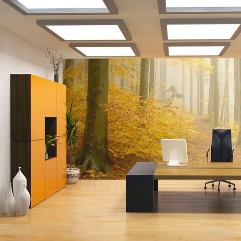 Papier peint forêt automne - 250 x 193 cm (1/4)