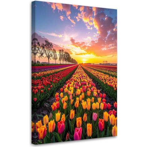 Impresión de Imagen, Tulipanes, flores, prado, vista, 20x30 (1/5)