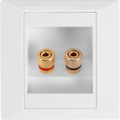 Prise murale audio avec 2 prises femelles pour haut-parleur avec fiche banane 86 mm x 86 mm en plastique plaqué or