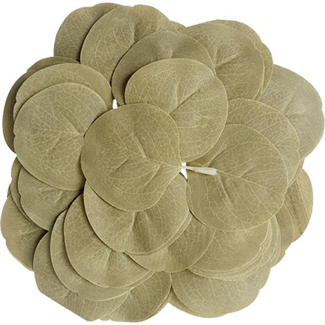 Jaune coucher de soleil, 50 pièces par paquet, feuilles d'eucalyptus artificielles, branches de plante vertes, fausses feuilles rondes, feuilles d'eucalyptus décoratives simulées. (1/2)