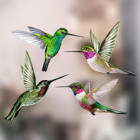 Lot de 8 grands autocollants statiques pour fenêtre, motif colibri, anti-collision et anti-impact d'oiseau, impression recto verso unique. (1/3)