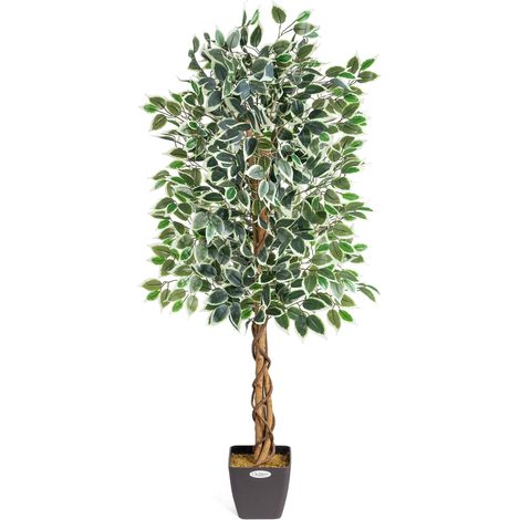 Artificial Variegated Ficus Tree - 150cm (1/5)