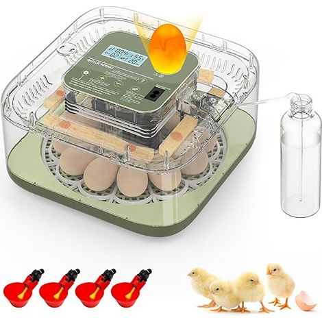 Egg Incubator LED Lighting Viewing Window Incubator Temperature Control Rotation Humidity (1/2)