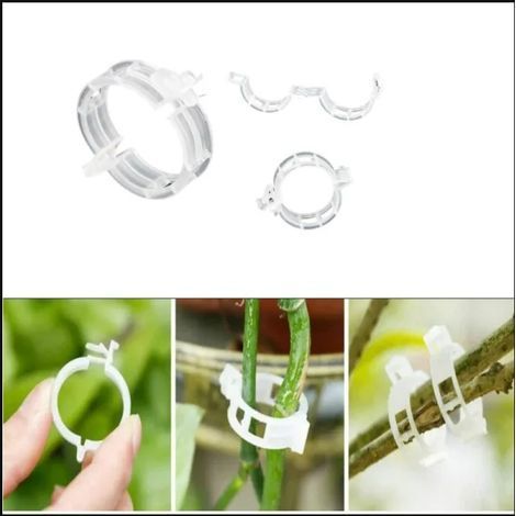 (Blanc) 100 Pièces support de plante pour support de plante, clips d'attache de vigne en plastique, vignes pince fixe (1/5)