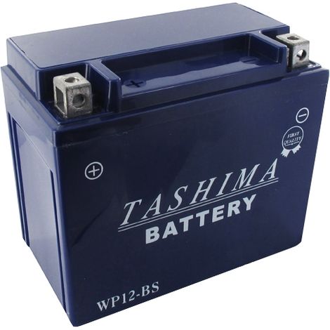 Batterie plomb étanche gel/agm 12V WP, 10A. L: 152, L: 88, H:131mm, + à gauche. - Batterie à mettre en acide avant d'être délivr