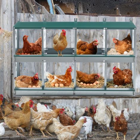 Nido per galline a 8 posti in metallo zincato da parete, verde, 108 x 41 x 67 cm (1/5)