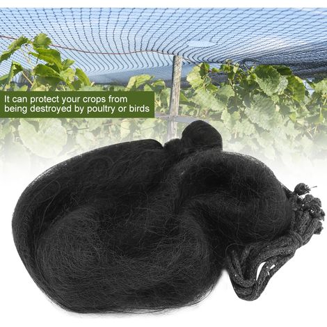 Filet anti-oiseaux 3 x 12 m pour jardin, protection des cultures, fruits et légumes (1/5)