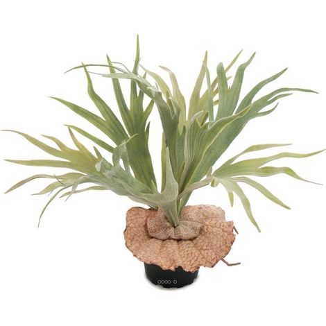 Platycerium bifurcatum artificiel en pot H 30 cm, D 40 cm
