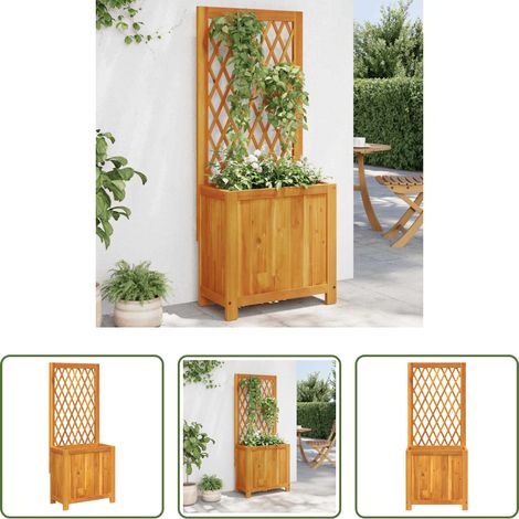 Rankgitter -  Pflanzkübel mit Rankgitter 55x29,5x132 cm Massivholz Akazie (1/5)