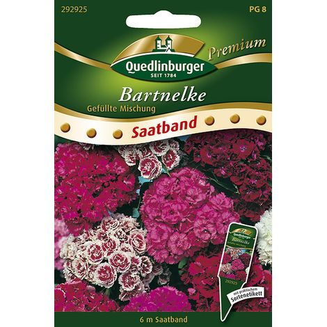 Quedlinburger Saatgut – Œillet de poète à fleurs doubles en mélange – Ruban de semis 6 mètres, bisannuel, 50 cm