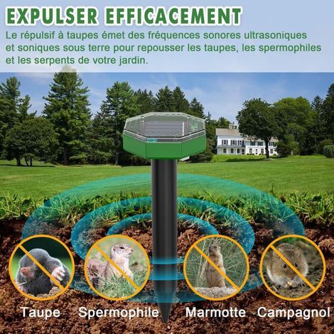 Répulsif solaire à ultrasons pour souris, lot de 8, répulsif solaire d'extérieur pour repousser les taupes et autres rongeurs des jardins et des pelouses (1/4)