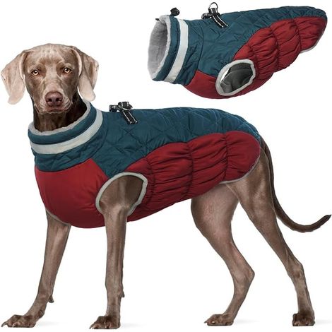 Manteau Chien Imperméable, Veste Chien, XL (1/5)