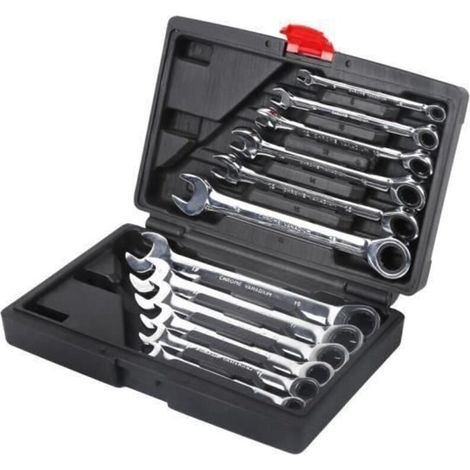 12-Piece Combination Ratchet Wrench Set in a Case, 8-19mm Metric Wrench Set - Reversible Adjustable Wrench Set (1/4)