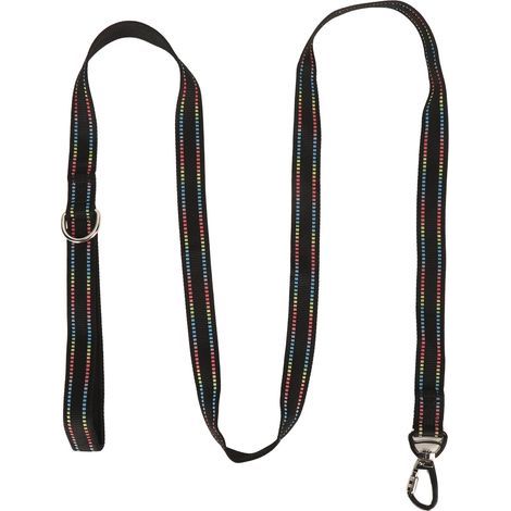 Fluorescent dog leash - Secure pull cord, textile lock - For shopping/camping (1/5)