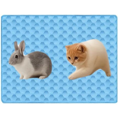 Tapis rafraîchissant autonettoyant pour chiens et chats, lavable et portable, pour cage, niche, voiture, canapé, lit, sol, intérieur/extérieur été (1/5)