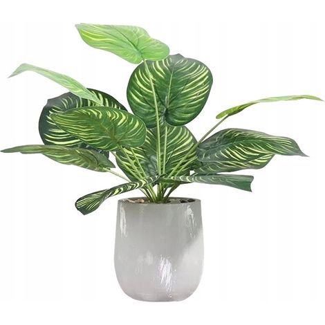 Fleur artificielle en pot pour bureau à domicile, style réaliste, 37 cm, Calatea (1/5)