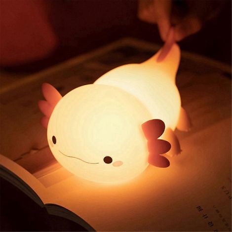 Wiederaufladbare USB-Nachttischlampe mit Touch-Steuerung für Babys und Mädchen – Geschenkidee