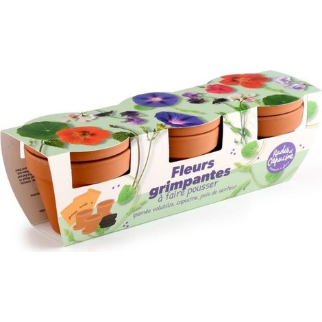Kit jardinage fleurs grimpants - Trio (1/5)