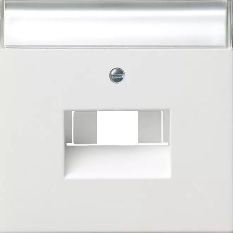 Gira Abd. BSF UAE/IAE + Netzwerk Flächenschalter Reinweiß 0284112 (1/2)