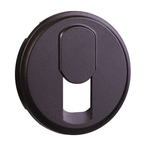 Enjoliveur pour prise téléphone RJ45 Céliane Finition: Graphite