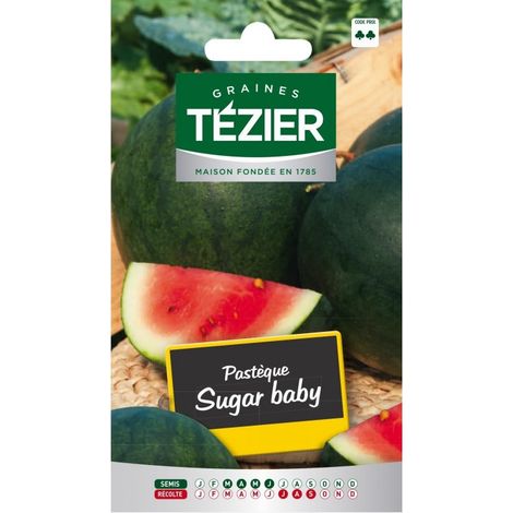 Tezier - Pastèque Sugar Baby (melon d'eau)