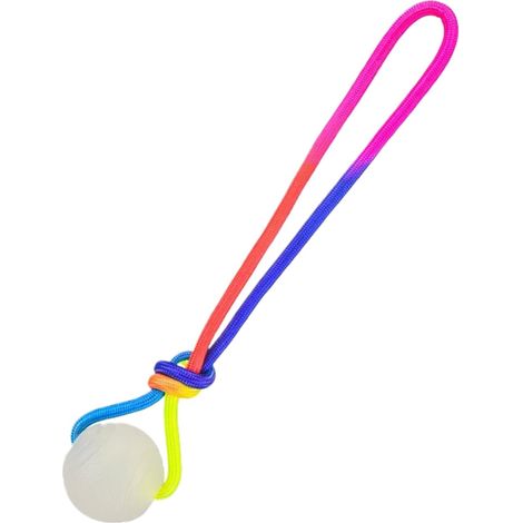 Dog Ball Toy Glow in the Dark Interactive Game Interactive Dog