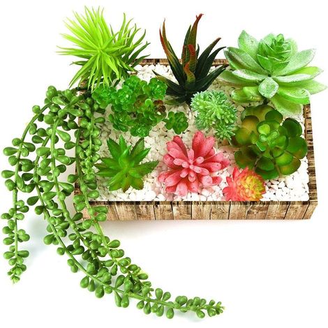 10 pcs Unpotted Fleurs Artificielles plantes à suspendre tiges plantes Artificielles Succulentes pour la décoration de la maison d'intérieur Jardin DIY consommables (1/5)