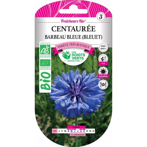 Blaue Centauren-Samen Kornblume BIO Die Grünen Finger