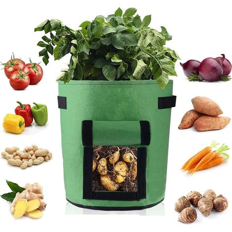 Sac de plantation pour pommes de terre, sac non tissé, sac de plantation pour pommes de terre, tomates, carottes, vert 25 x 30 cm (1/5)