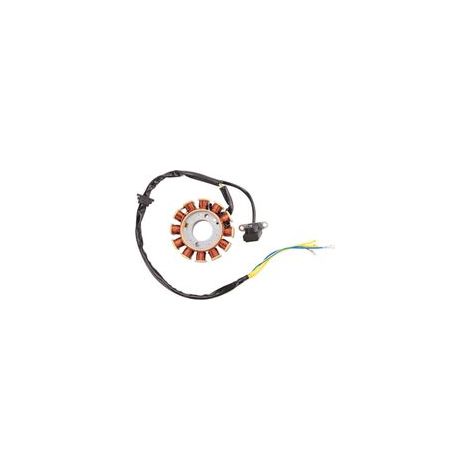 Coil 12 Pole Stator DC Bobine D'Allumage pour GY6 125Cc 150Cc (1/4)