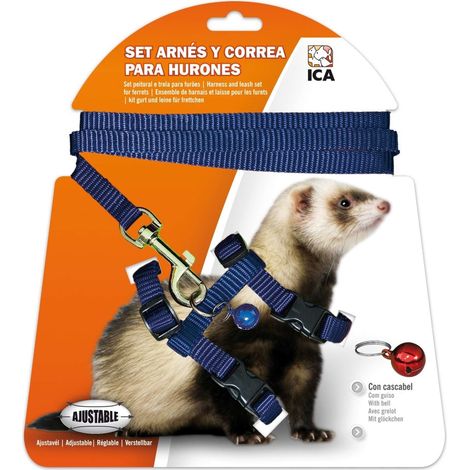 ICA DA972 Set Imbracatura e Cinghia per Furetti, Blu (1/2)