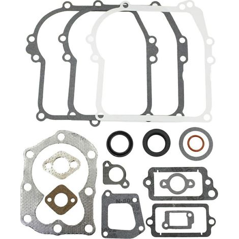 SERIE GUARNIZIONI Vecchi motori verticali 3/3,5 HP, SPRINT/QUATTRO, 92500 -320020