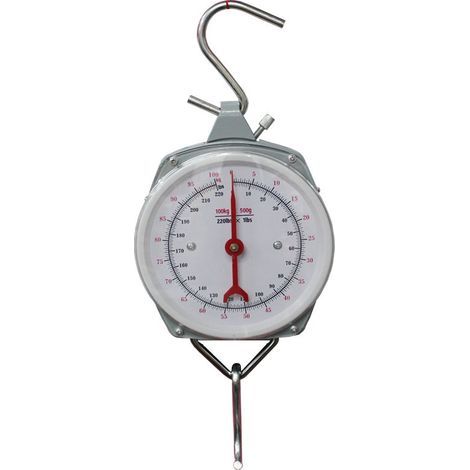 Peson suspendu 200 kg, balance industrielle avec crochets en S, boîtier aluminium et plexiglas Ø14 cm, pesage rapide