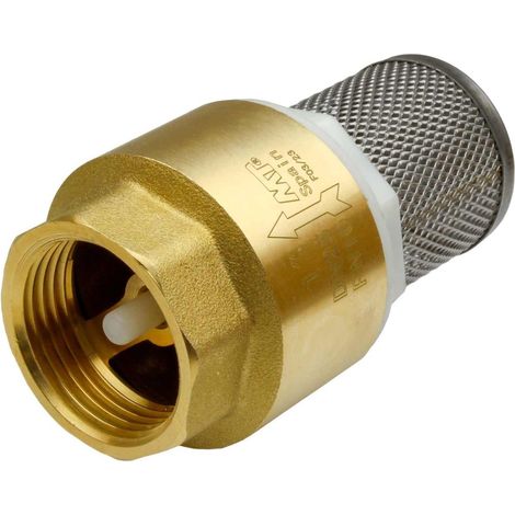 mt 8435319114865 Vanne Anti-Retour 1 pouce avec filtre (1/3)