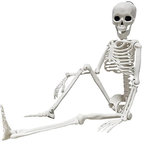 Esqueleto articulado de cuerpo completo para Halloween. Esqueleto humano realista con articulaciones móviles. Ideal para Halloween, Navidad y otras fiestas. (1/5)
